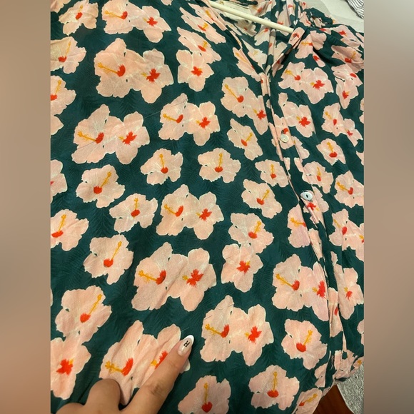 ❌SOLD❌acacia | Mombasa x Mahalo - Picture 3 of 4